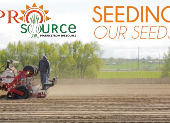 Seeding: Our Seeds