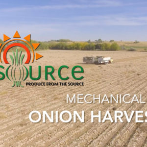Mechanical Onion Harvester