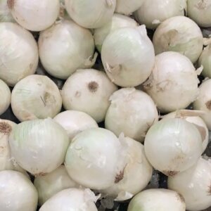 Storage Versus Summer Onions